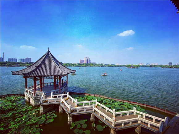 【醉美历下】初秋泛舟大明湖，享受最闲适的生活，看世间最美的风景