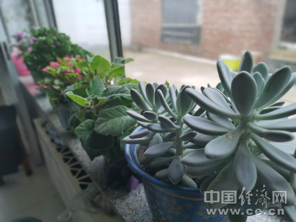 【幸福花开新边疆】稻花村：帮一把、扶一程 静待幸福花开