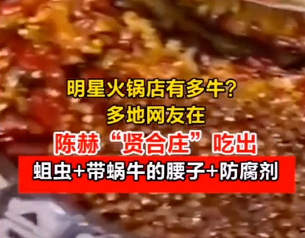 事大了?陈赫火锅店回应卫生问题说了什么?事件详情始末来龙去脉