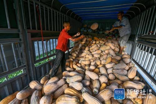 “草鞋村”的致富经