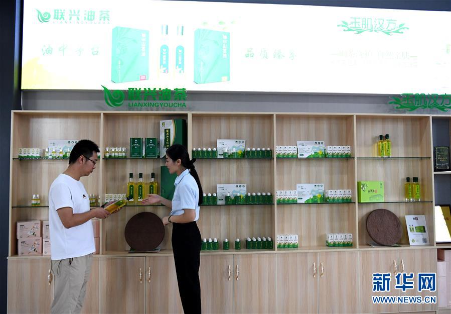 河南光山：油茶产业促民增收