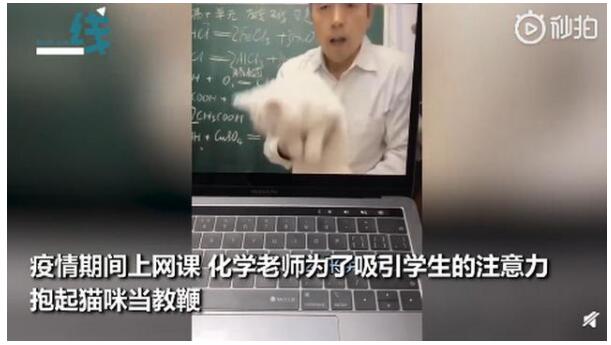 可可爱爱！这些火遍全网的老师你pick谁 化学老师抱起猫咪当教鞭