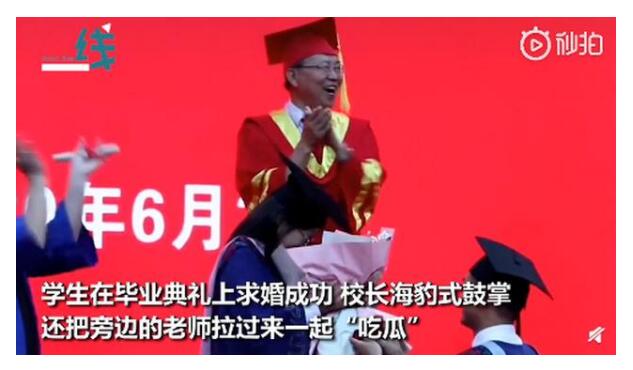 可可爱爱！这些火遍全网的老师你pick谁 化学老师抱起猫咪当教鞭