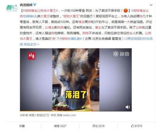 【残忍的人类】宠物博主让狗当大胃王 狗狗被辣的流下了眼泪