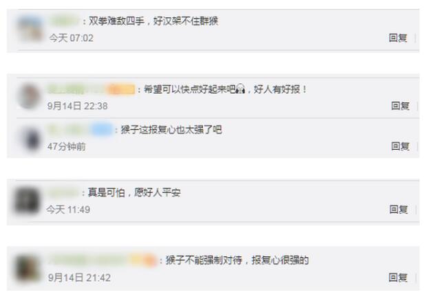 【哭笑不得】男子见义勇为被猴群报复 当时到底发生了什么事？