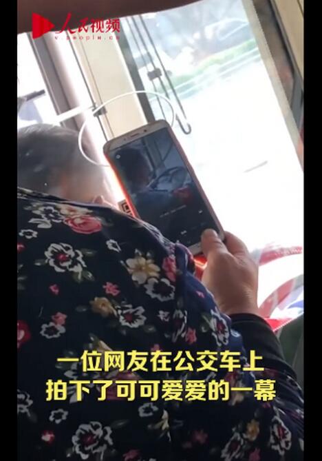 【真你扫我】老奶奶坐公交对着司机的头扫码,有点好笑又有点心酸