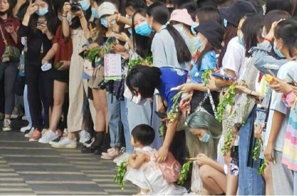 王一博粉丝拿香菜应援|【吃瓜围观】王一博粉丝拿香菜应援 这下全网都知道王一博爱吃香菜了