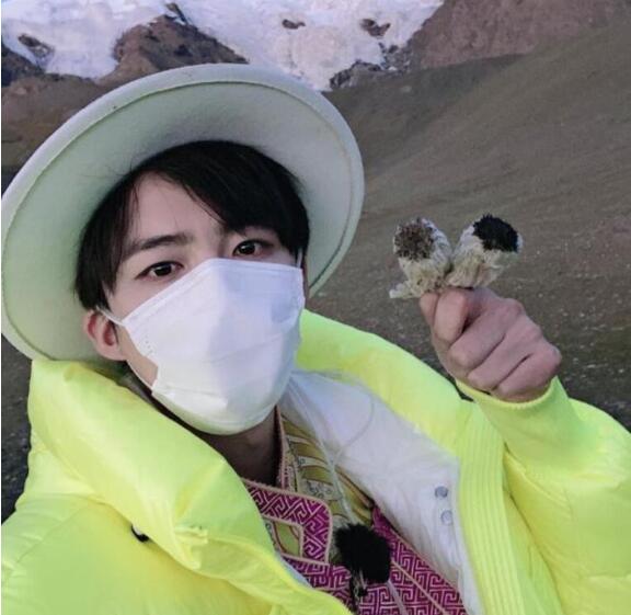 刘宇宁|【刘宇宁道歉了】刘宇宁就采摘雪莲花一事道歉 摩登兄弟引发争议