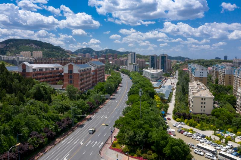 绿色道路  创新养护 2020城市道路新型养护技术论坛在济南举办