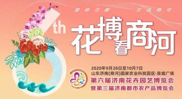 【花博看商河】摄影爱好者从外地回济“打卡”花博会，想拍更好的作品宣传商河