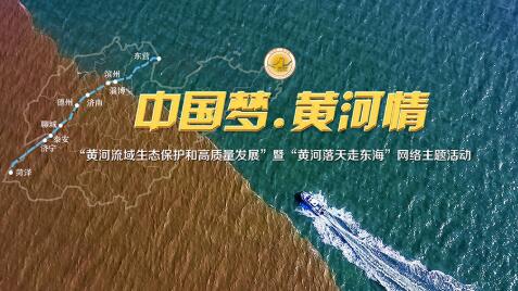 【中国梦·黄河情】黄河万里入胸怀！齐鲁大地奏响幸福大河新乐章