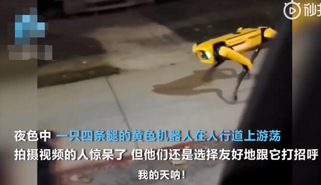 【偷窥者】机器狗夜晚独自在街头游荡还拍摄了照片回传 引网友热议