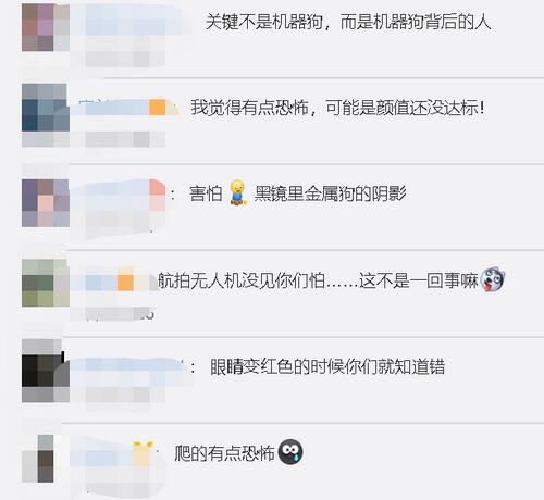 【偷窥者】机器狗夜晚独自在街头游荡还拍摄了照片回传 引网友热议