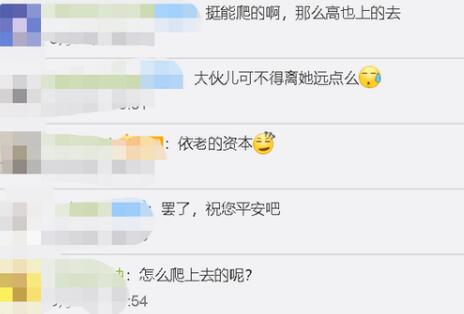 【围观】老太爬上地铁车厢行李架上蹭坐 现场到底发生了什么？