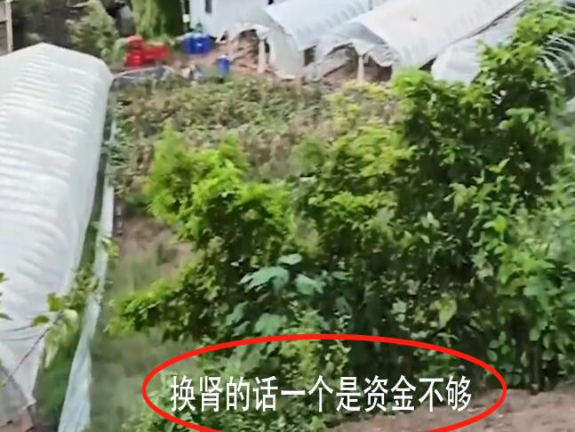 【吃瓜围观】尿毒症男子包下60亩地自救 这到底是什么梗?