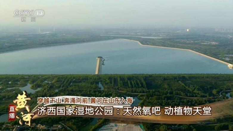 央视《直播黄河》水陆空多维视角关注济南——“黄河战略”奔腾 大城大河新生