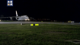 摩尔多瓦总统视频致辞庆祝“双节”