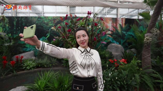 报业“花仙子”探花博 