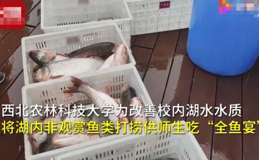 只有羡慕的份！高校备6000份鱼请师生免费吃 原因让人意想不到