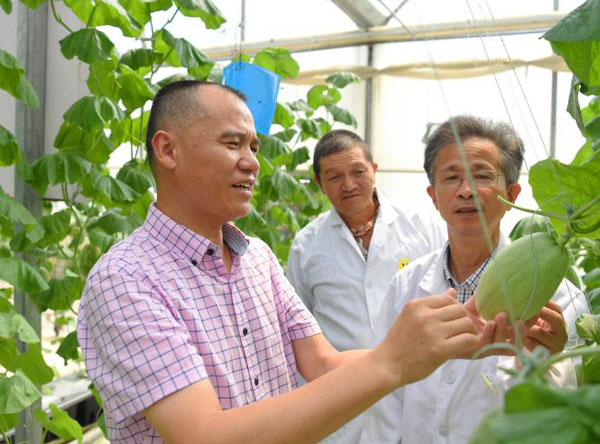孙军：科学种地，让农民的钱包鼓起来
