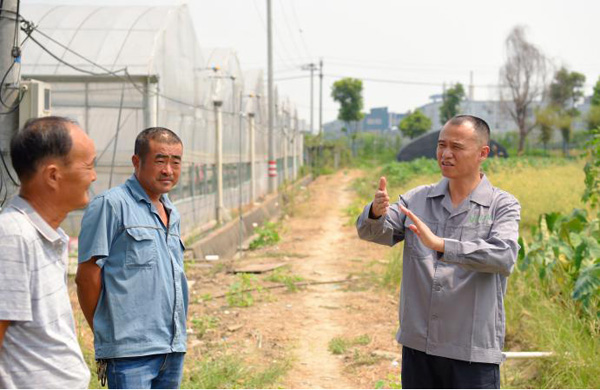孙军：科学种地，让农民的钱包鼓起来