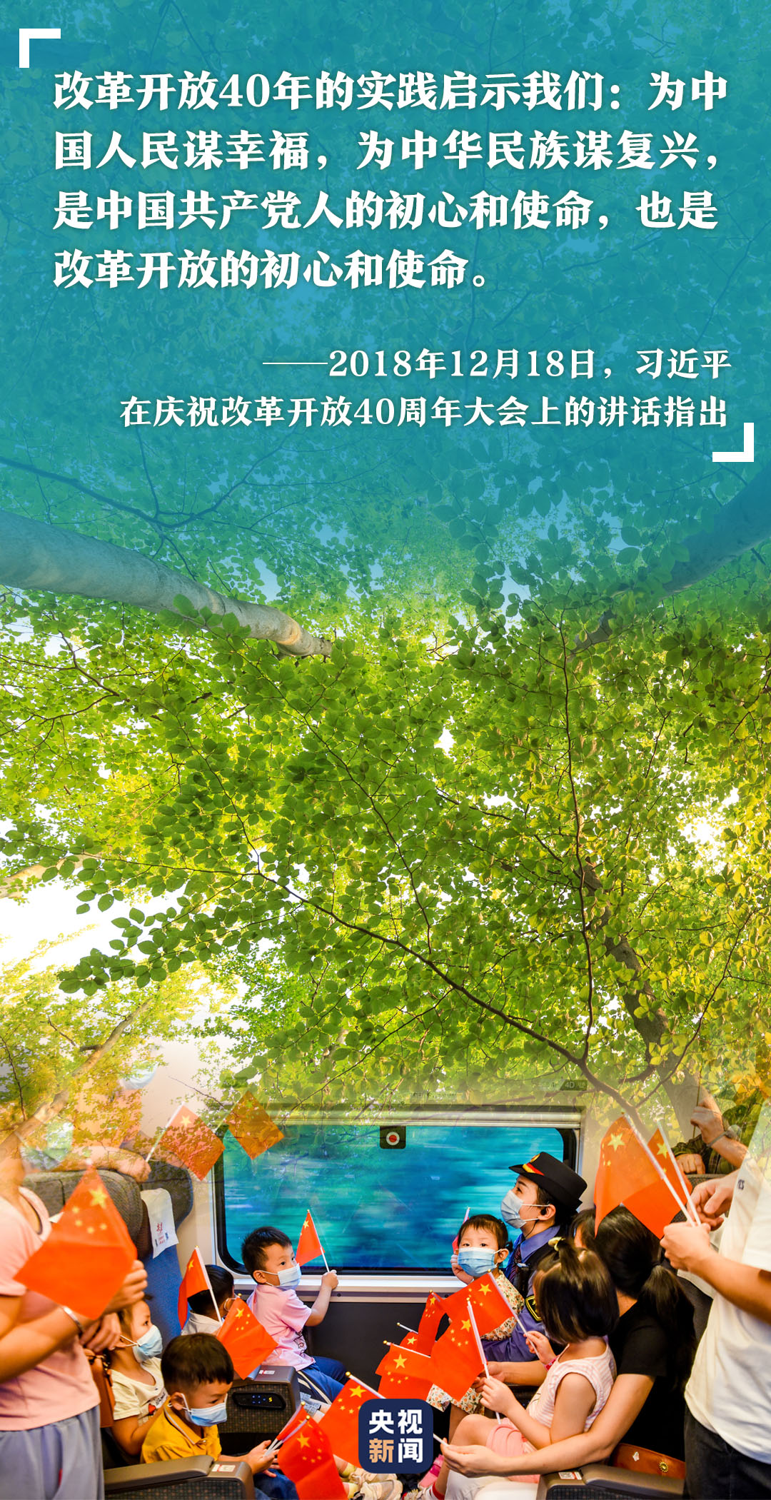  高山榕树印初心