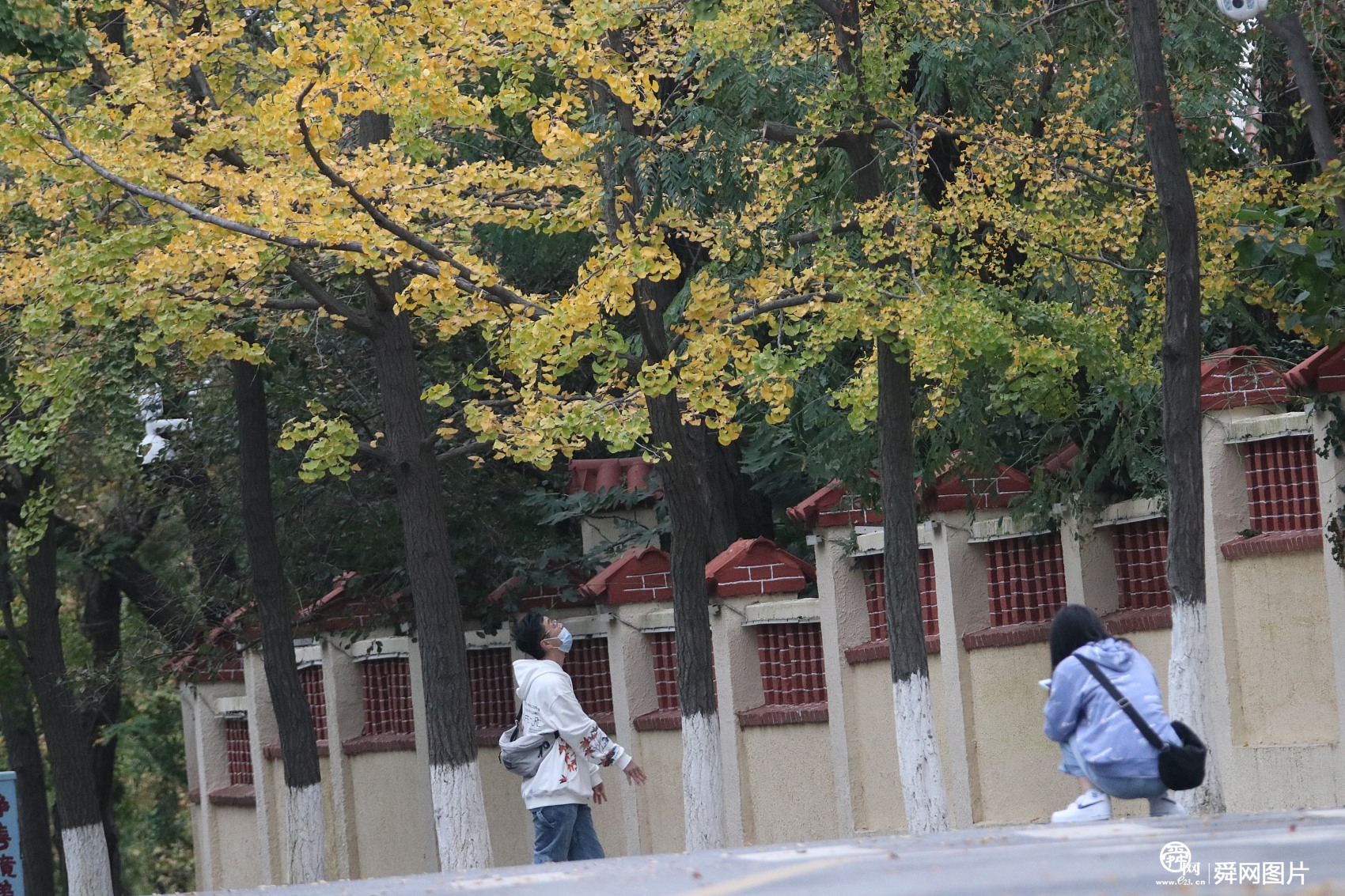 青岛八大关秋意浓