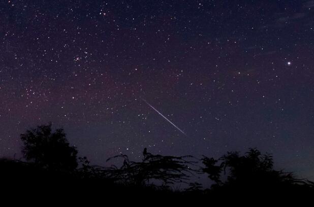 美翻了猎户座流星雨21日迎来极大速度极快且轨迹长亮流星较多