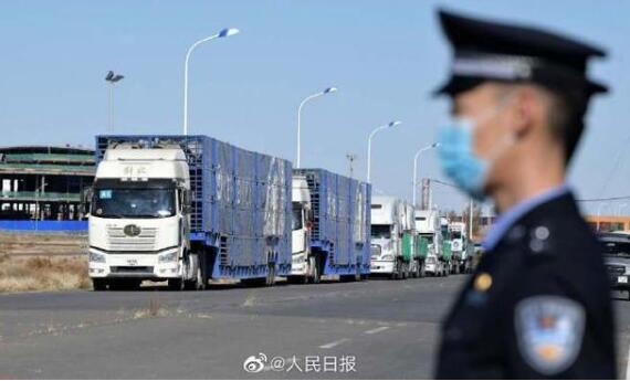 快到碗里来！首批4000只蒙古捐赠羊入境现场图