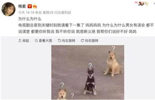 杨紫吐槽电视剧的套路|为什么？杨紫吐槽电视剧的套路，我帮你们说好不好