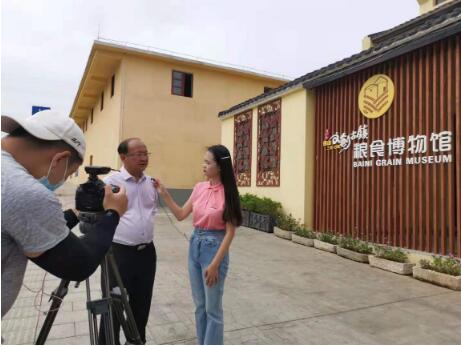 全国城市网媒大咖齐聚三水白坭，感受乡村振兴美丽新画卷→