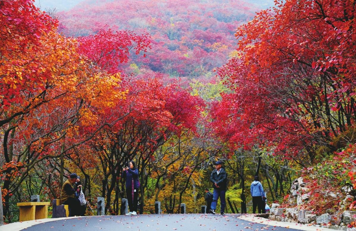 二十四节气 立冬