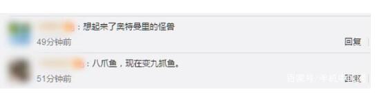 可怕!日本沿海现九足章或与核辐射相关 到底是咋回事?