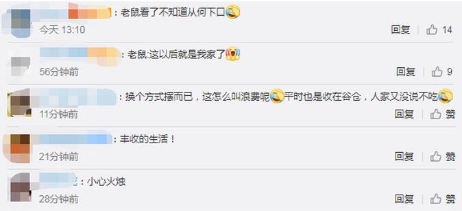 真·农家乐！吉林农民用2万个玉米盖黄金屋