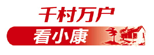 老知青重回故地变身“农场主” 招远大户陈家村党组织领办合作社，探索乡村振兴新路径