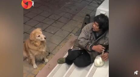 流浪大叔带馒头喂宠物店狗狗暖心
