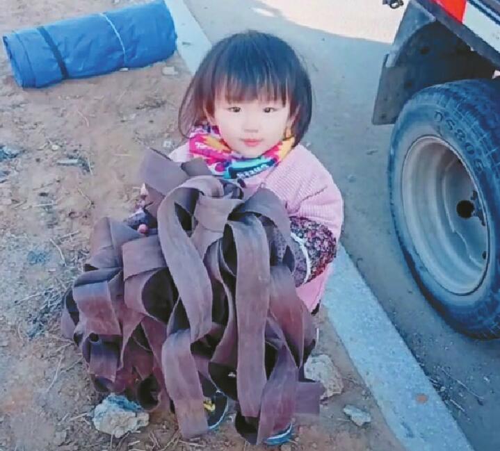 2岁女儿陪爸爸跑货运刷屏 对话