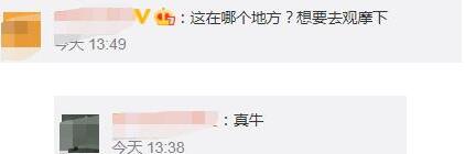 栩栩如生！新疆大叔凭想象堆出逼真雪牛