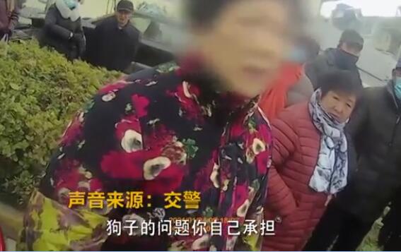 狗狗未拴绳过马路被撞死主人全责，大妈不服：狗走的是斑马线