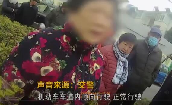 狗狗未拴绳过马路被撞死主人全责，大妈不服：狗走的是斑马线