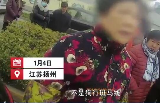 狗狗未拴绳过马路被撞死主人全责，大妈不服：狗走的是斑马线