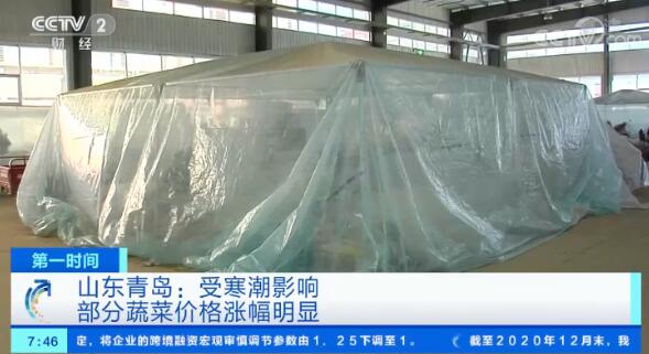 “速冻”模式开启！蔬菜裹着好几层棉被进市场！这些蔬菜价格“坐火箭”