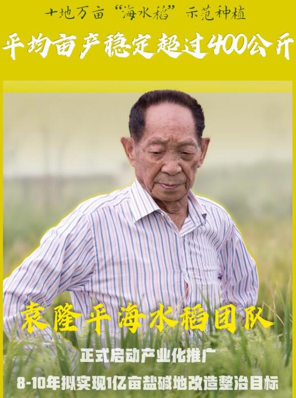 中国人的饭碗端得更稳！袁隆平团队海水稻开始产业化推广
