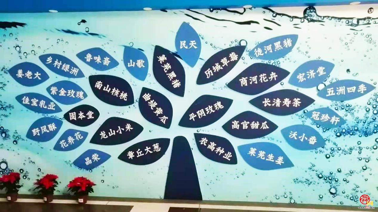 视频集锦“泉水人家”影像展 回首济南品牌农产这一年