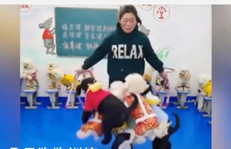成精了！女子训练十几只狗狗同时跳绳 这场面太欢乐