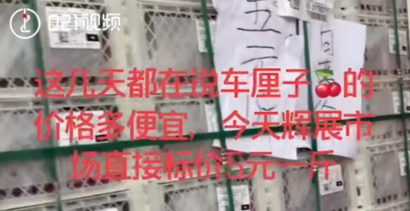 上海车厘子现五元一斤骨折价 这价格你敢吃吗？