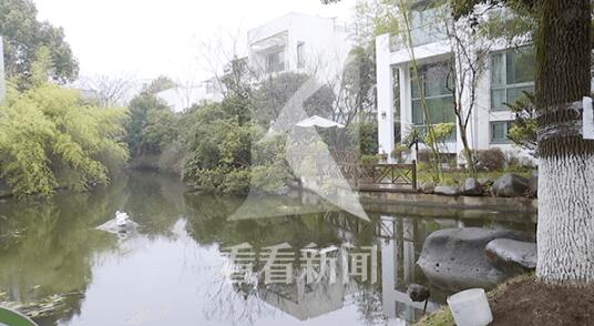 男孩溺亡母亲救子险被电晕 母亲称跳水救子时发现水中漏电