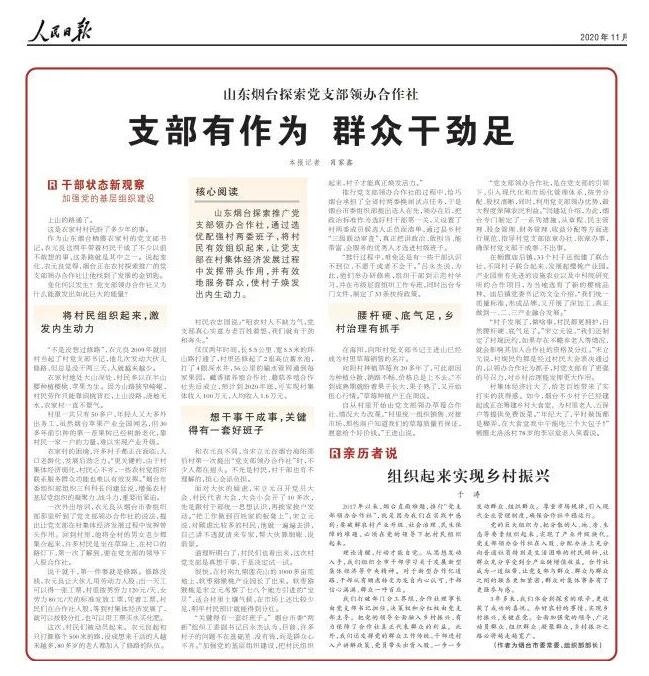 组织起来 振兴乡村 烟台市创新推进村党支部领办合作社的探索实践