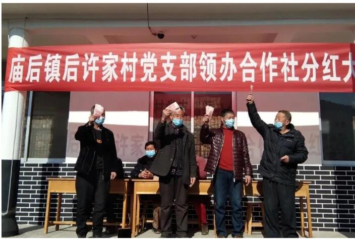 组织起来 振兴乡村 烟台市创新推进村党支部领办合作社的探索实践