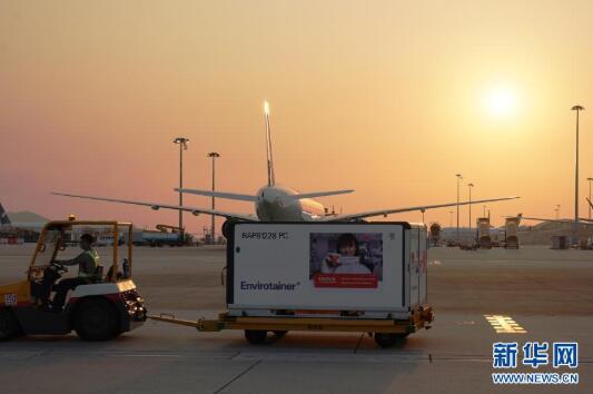 首批科兴新冠疫苗运抵香港 26日启动疫苗接种